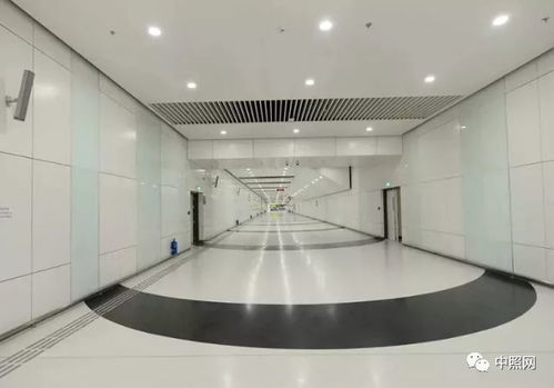 一文讀懂港珠澳大橋照明科技